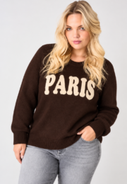 Only Paris Knitted Jumper in dark brown with contrast PARIS lettering, round neck and long sleeves